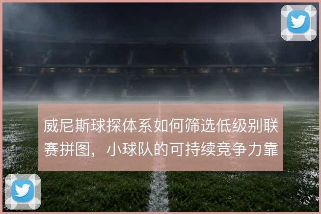 威尼斯球探体系如何筛选低级别联赛拼图，小球队的可持续竞争力靠什么撑住
